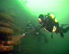 M/S Hamburg
