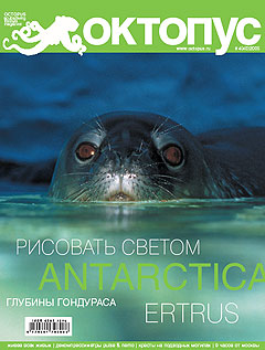 Octopus nr. 4/2005 cover